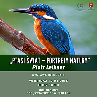 „Ptasi Świat - portrety natury” - wystawa Piotra Leibnera w CSE Światowid