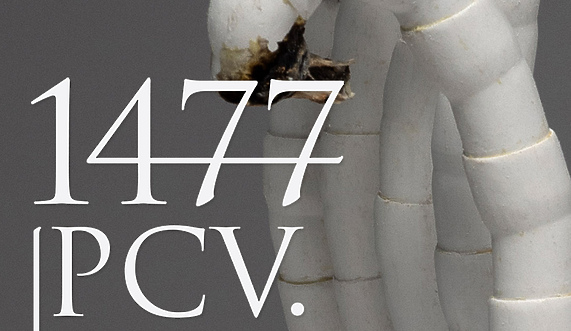 1477 PCV. w Galerii EL 1477 PCV. w Galerii EL