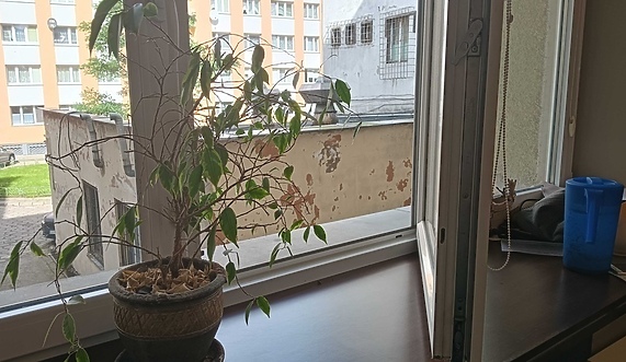 Uszczelkowy i natarczywy biznes Uszczelkowy i natarczywy biznes