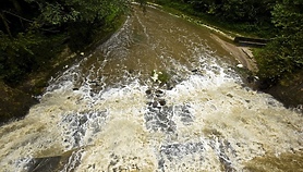 Czas na quiz. Czekając na wiosnę Czas na quiz. Czekając na wiosnę