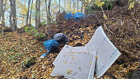 Śmiecił w lesie. Zapłacił mandat i musiał posprzątać Śmiecił w lesie. Zapłacił mandat i musiał posprzątać