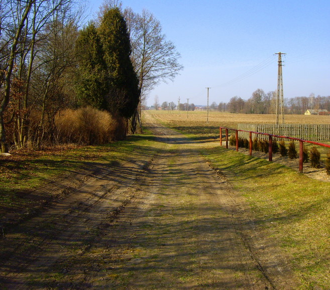 Okolice Elbląga