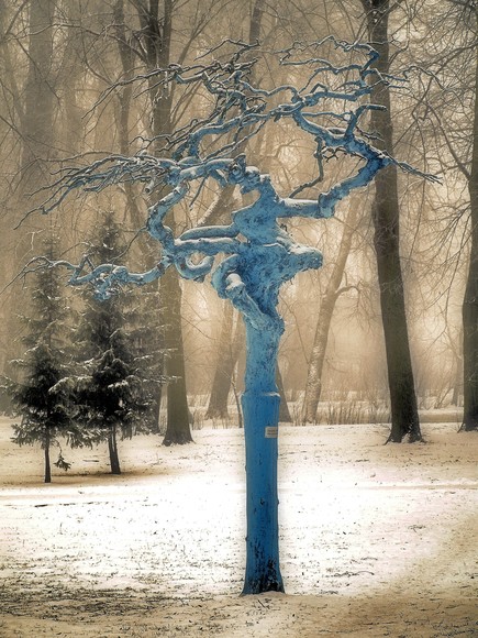 "Zimowa niezapominajka" (Grudzień 2010)