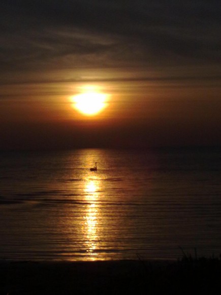 Kąpiel zakochanych o zachodzie słońca
(fotka zrobiona telefonem)