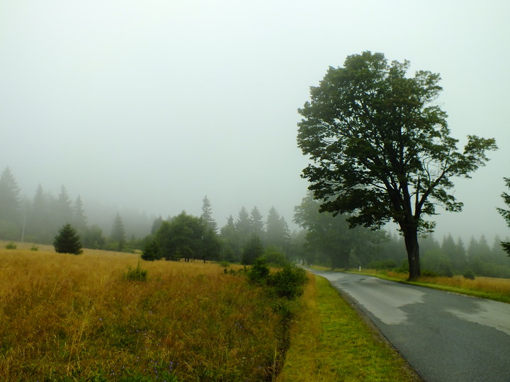 Droga w górach (Sierpień 2011)