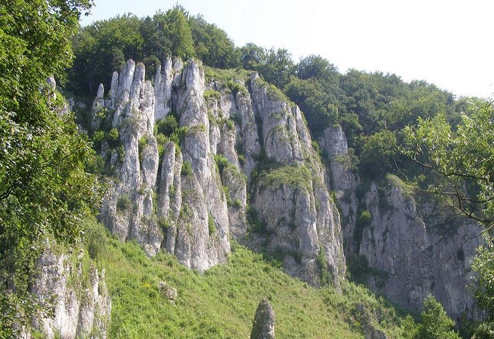 Góra Koronna (436 m.n.p.m.) w Dolinie Prądnika (Ojcowski Park Narodowy). Wyróżniającym się elementem masywu jest skała Rękawica, za którą kryje się otwór Jaskini Ciemnej. Legenda głosi, że podczas jednego z najazdów Tatarów uciekająca ludność Ojcowa schroniła się w Jaskini Ciemnej, a wtedy Bóg własną ręką zasłonił wejście do jaskini i w ten sposób uratował mieszkańców przed pogonią i straszną śmiercią z rąk pogańskich Tatarów. W miejscu ręki Stwórcy pozostała wielka, kamienna dłoń nazywana Rękawicą lub Pięciopalcówką. (Sierpień 2011)