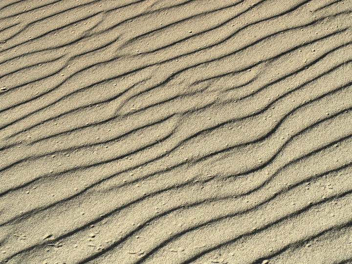 Planeta Ziemia - ślad wiatru na piasku (plaża Krynica Morska) (Wrzesień 2011)