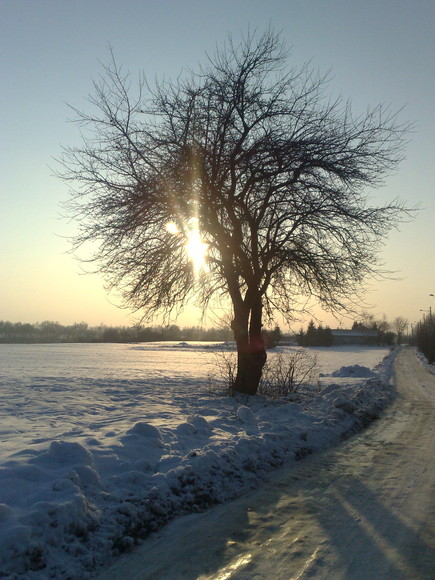 Zimowe Słońce