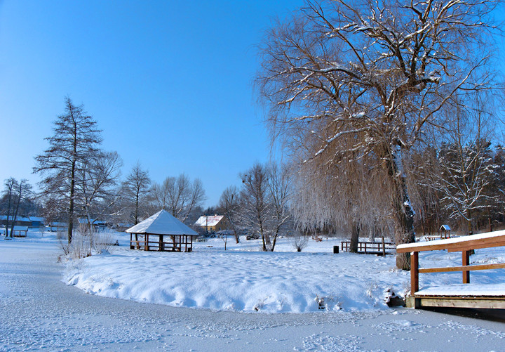 Zimowe zdjęcia jeziorka miejskiego w pasłęckim parku ekologicznym.