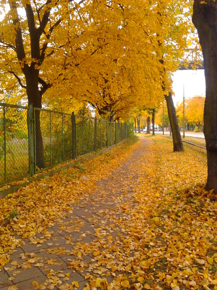Piękna jesień :)