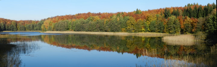 Jezioro Stare otoczone jesienną aurą