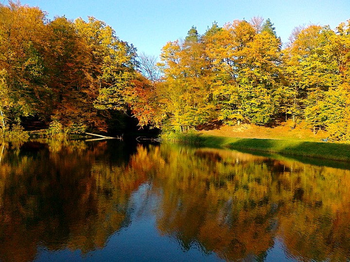 elbląski cud jesieni - Jezioro Goplanica