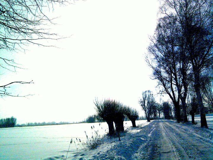 Droga w głąb zimy