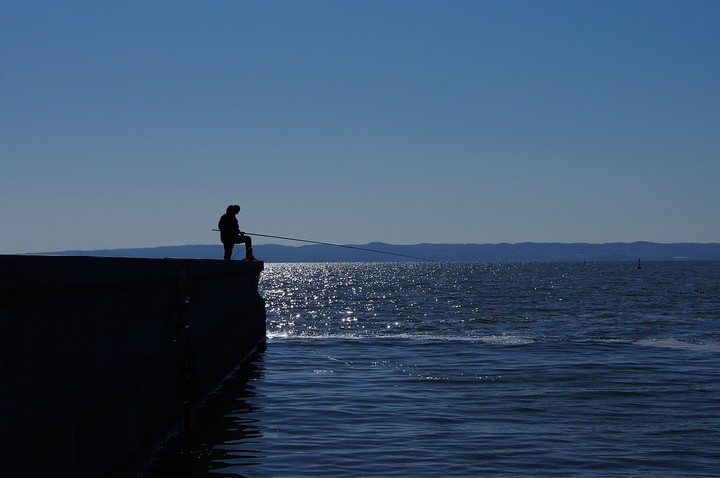 Na rybach. Krynica Morska. (Wrzesień 2013)