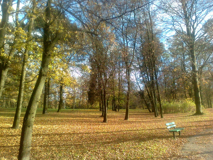 Park Modrzewie