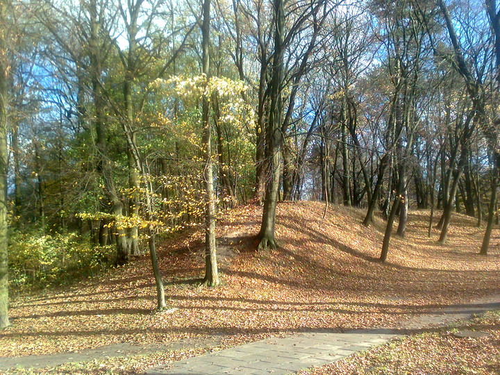 Jesiennie w Parku Modrzewie