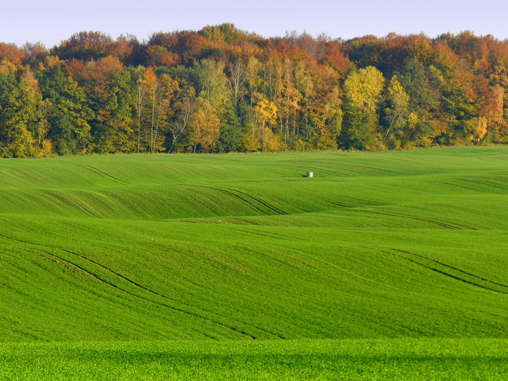 piękna polska jesień