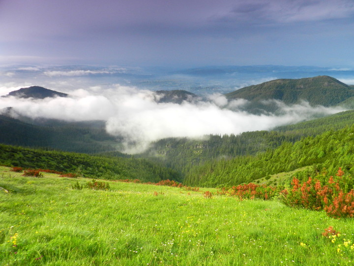 Tatrzańskie doliny we mgle