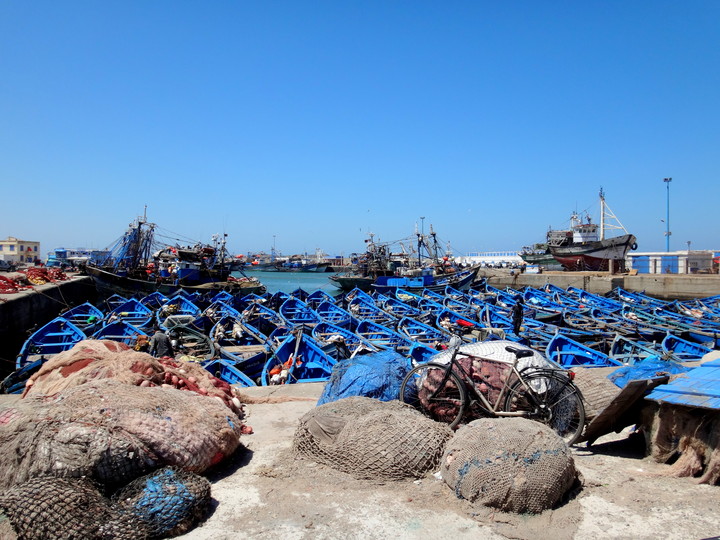 Port - Essaouira (Sierpień 2014)