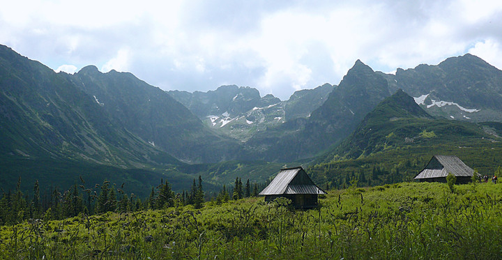 w Tatrach