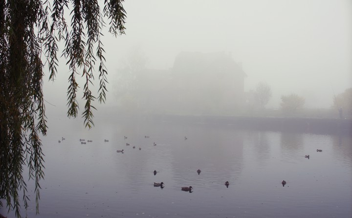 Mgła otula poranek (Październik 2014)