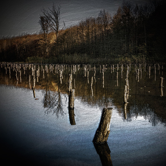 Leśne jeziorko w Jeleniej Dolinie. Fotkę dedykuję "Kwadratowi", którego prace są dla mnie wielką inspiracją. Pozdrawiam Darek.