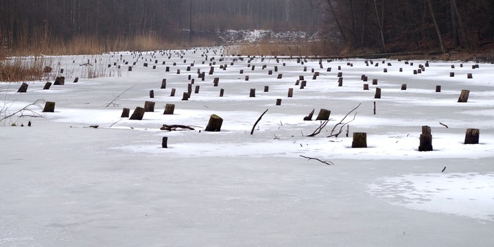 Jezioro pni zimą (Luty 2015)