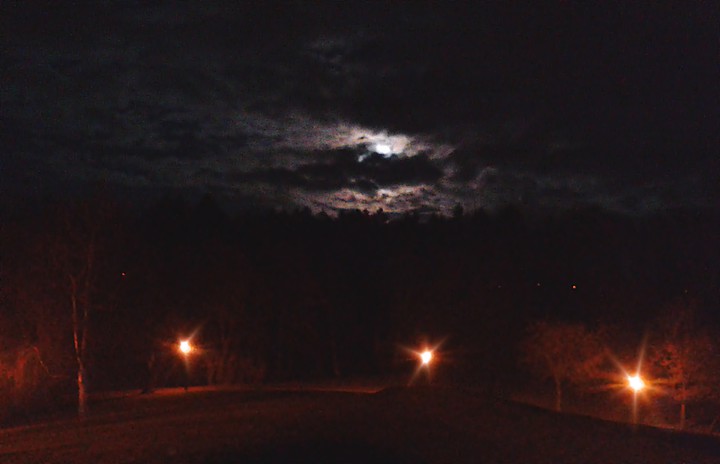 Księżycowa noc