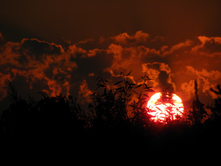 Zachodzące słońce (Sierpień 2015)