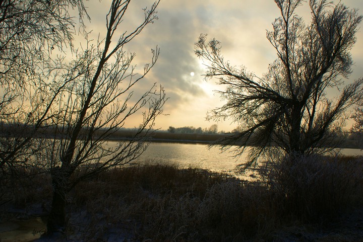 Rzeka Szkarpawa zimą