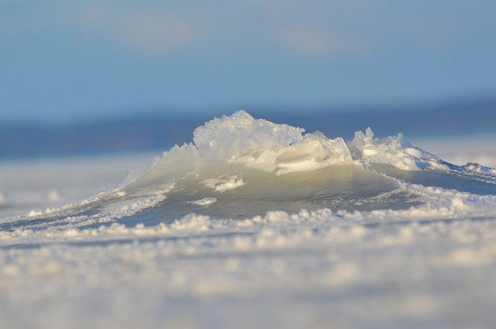 Oceaniczna fala wyrzeźbiona przez naturę w lodzie.