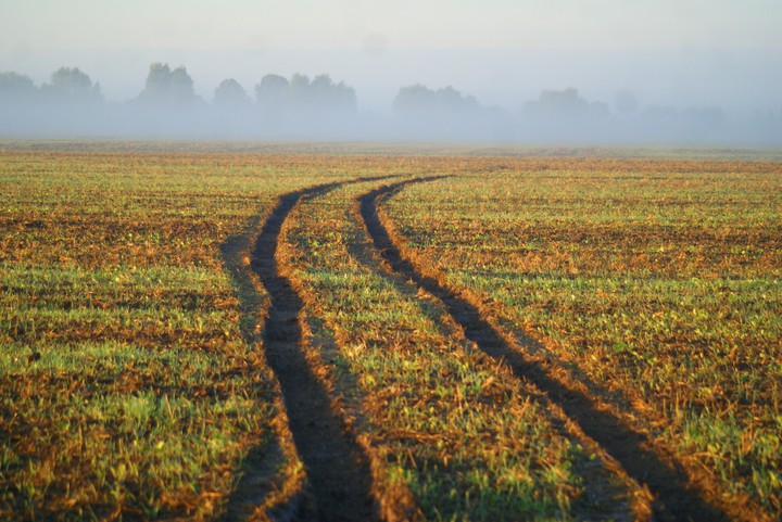 Rano mgła w pole szła
