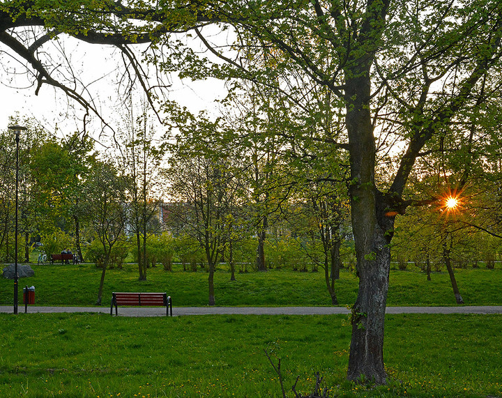 Park przed zachodem słońca.