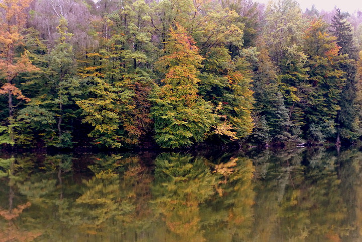 Barwy jesieni (Październik 2016)