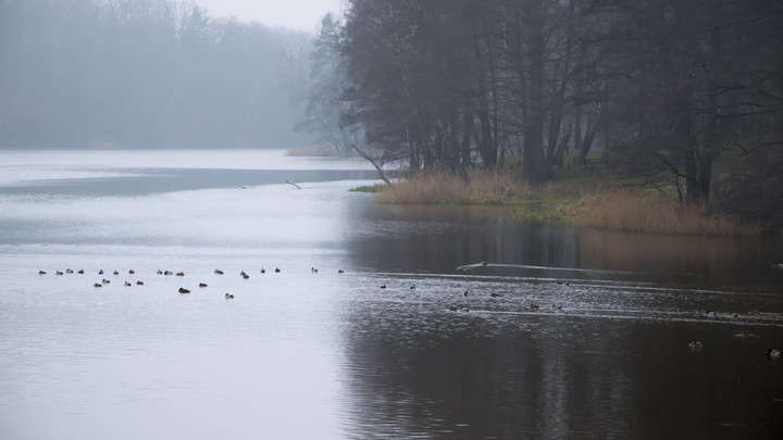 Jezioro Pierzchalskie (Styczeń 2017)