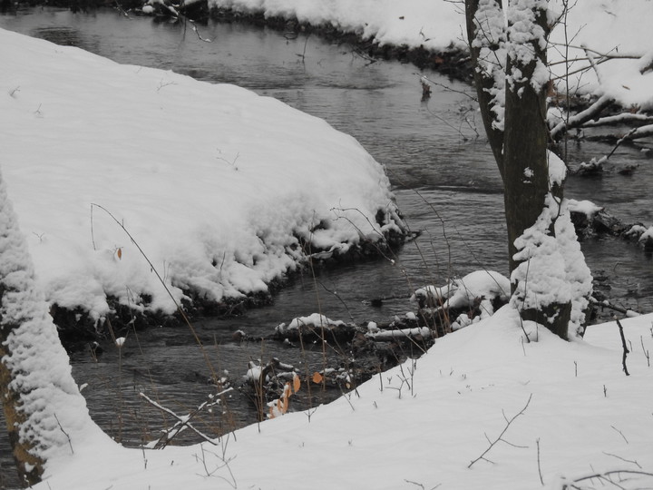Kumiela zimą - poniżej Goplenicy