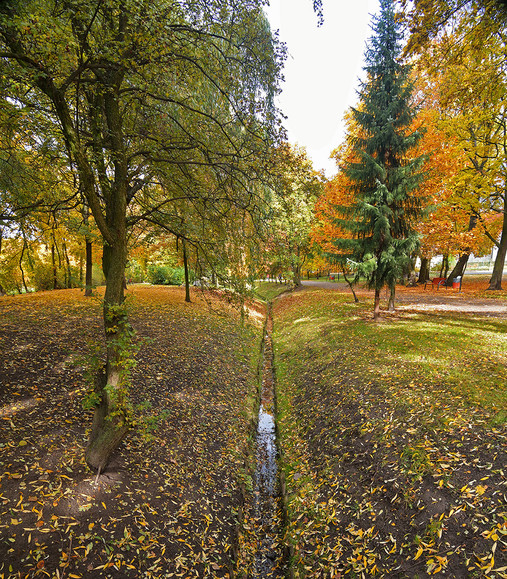 Jesienny park Kajki.