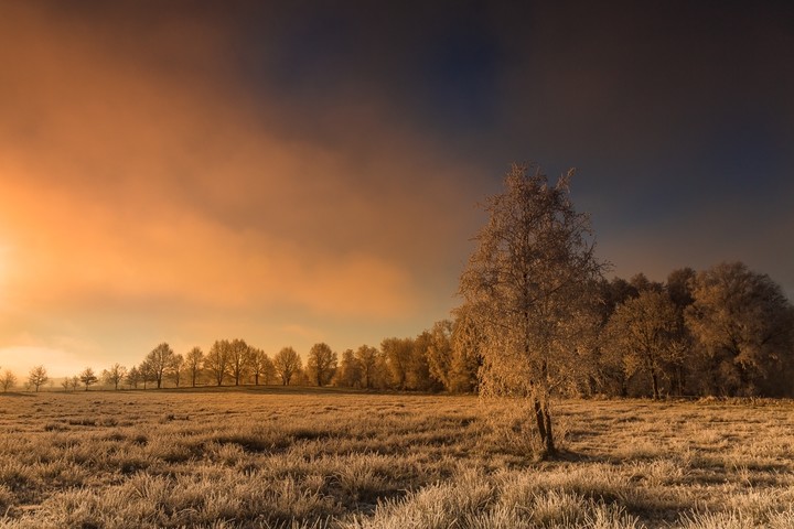 świt (Styczeń 2019)