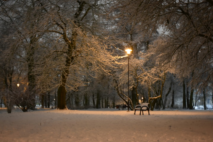 Zima w parku Kajki