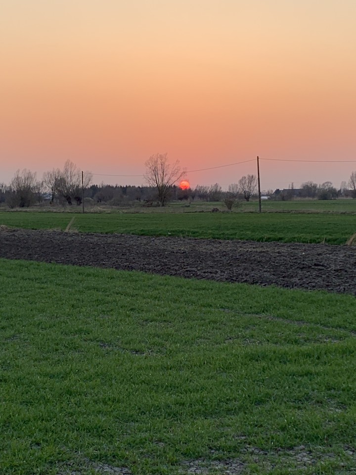 Zachód słońca na Żuławach