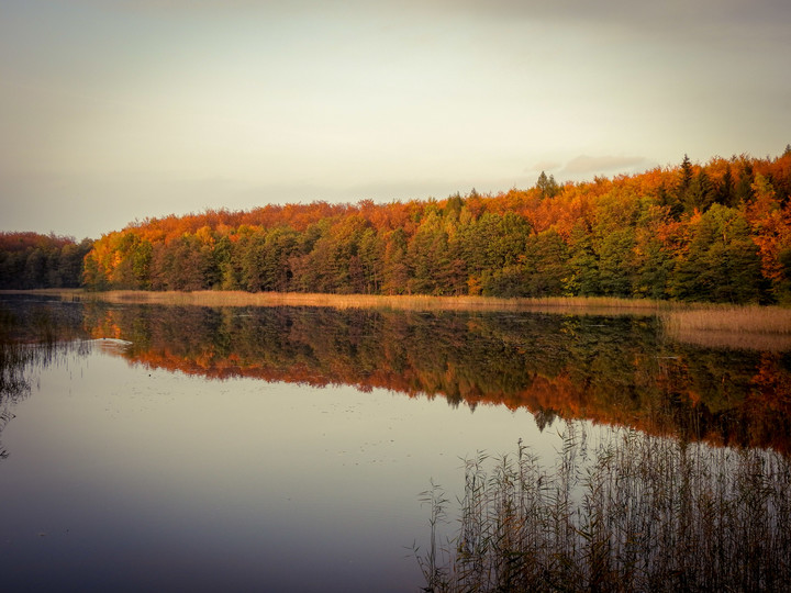 Jezioro  w kolorach jesieni