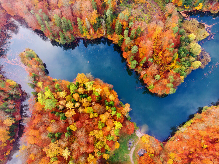 Jezioro Martwe w jesiennej scenerii (Listopad 2020)