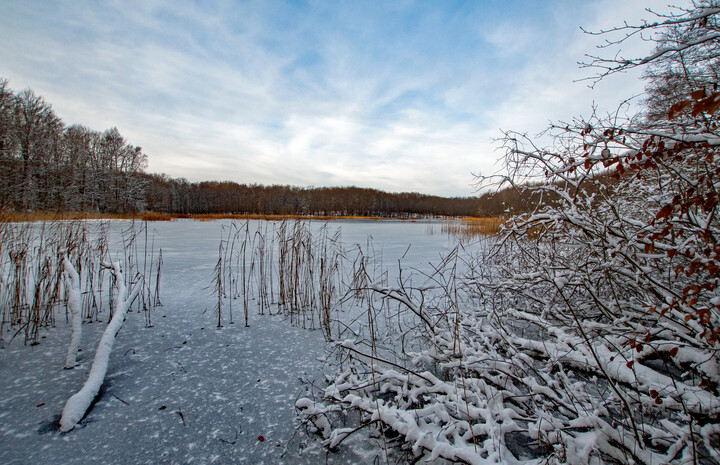 Jezioro Stare w zimowej odsłonie (Grudzień 2020)