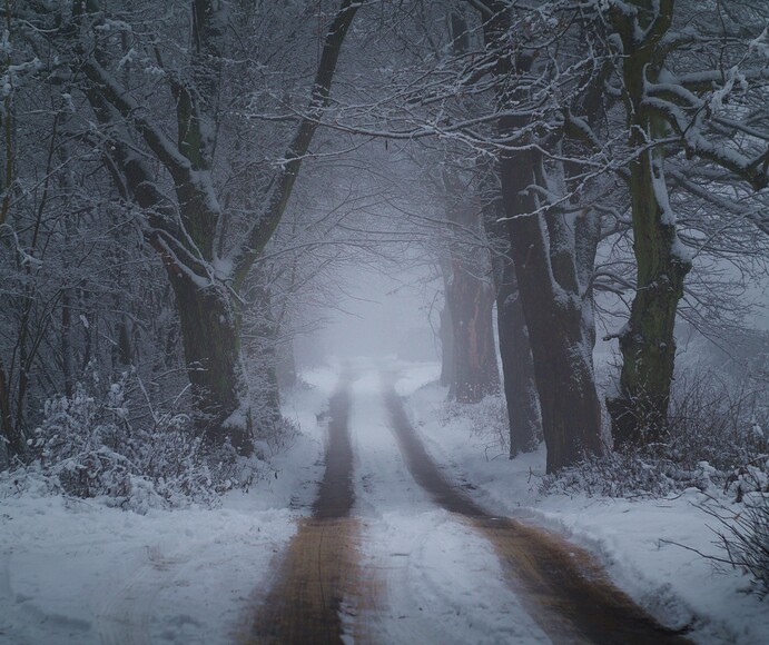 "Zimowa droga przez las" (Styczeń 2021)