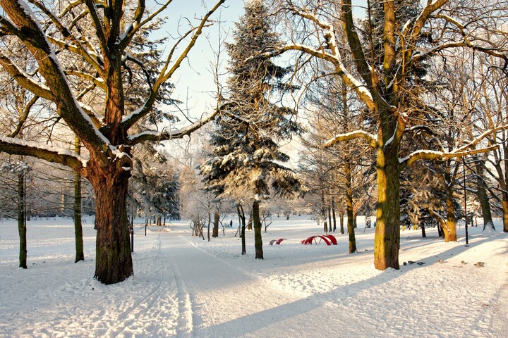 Zimowy Park Kajki