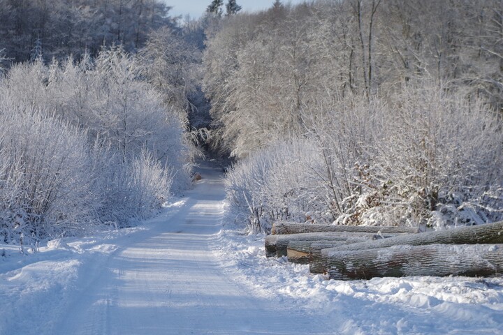 Zimowy krajobraz (Styczeń 2023)