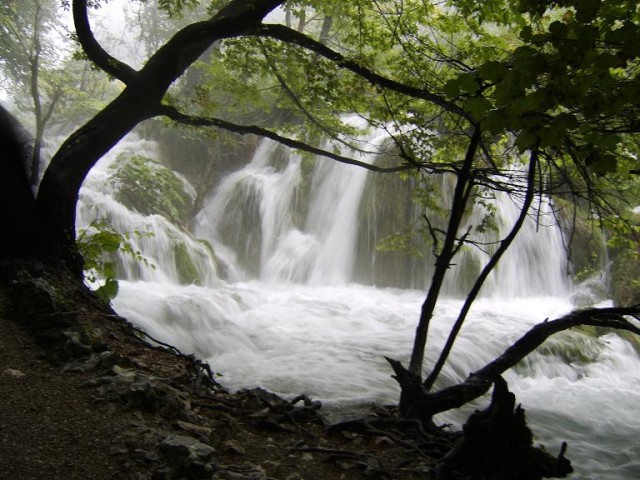  
Wodospady Krka - Chorwacja