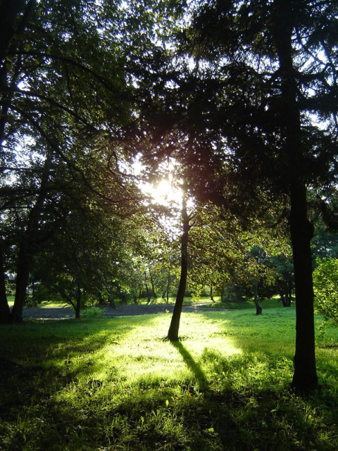 Park Modrzewia. (Wrzesień 2006)