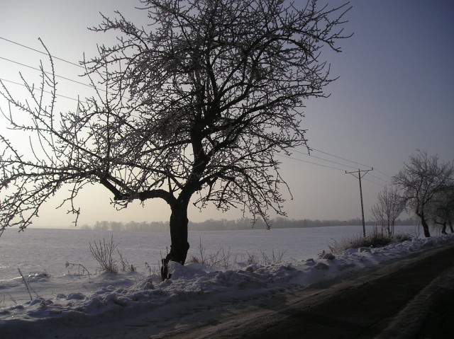 uhuha zima zła (Luty 2007)