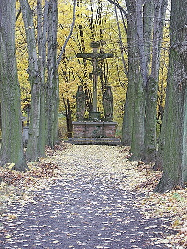 cmentarz w fromborku (Listopad 2007)